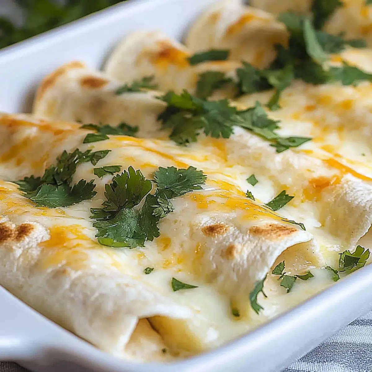 White Chicken Enchiladas